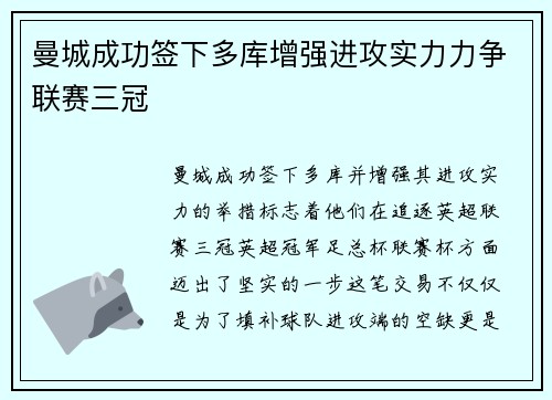曼城成功签下多库增强进攻实力力争联赛三冠